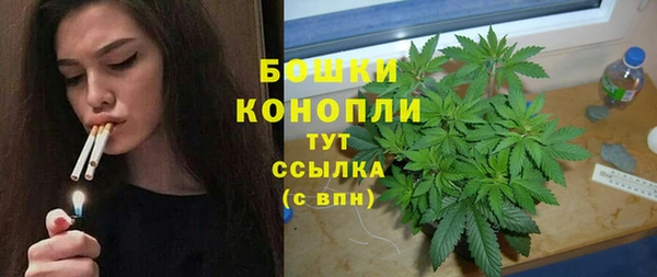индика Арсеньев