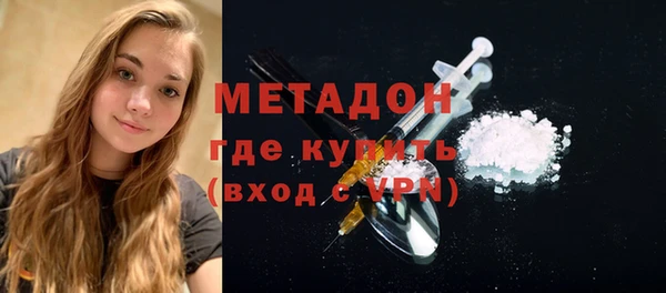 индика Арсеньев