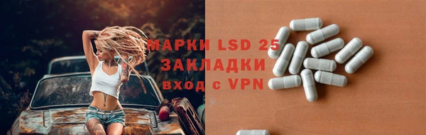 спайс Аркадак