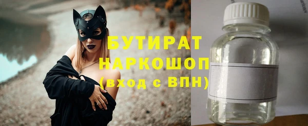 индика Арсеньев