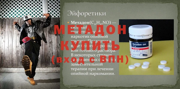 индика Арсеньев