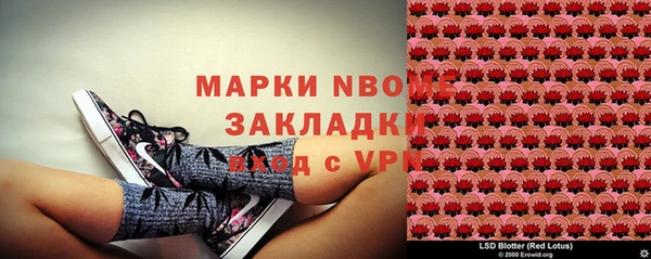 индика Арсеньев