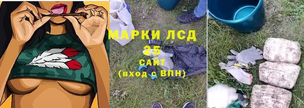 индика Арсеньев