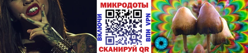 Псилоцибиновые грибы Psilocybe  Рузаевка 